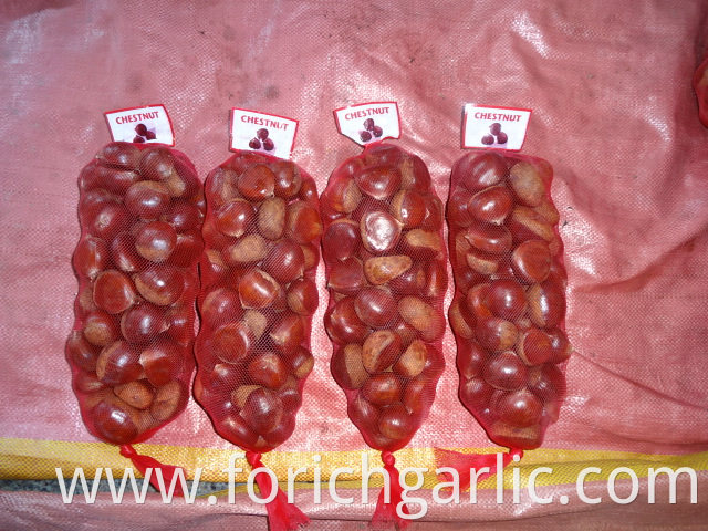 High Quality New Crop Chestnut